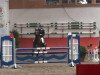 jumper Elaxy (Hanoverian, 2001, from Espri)