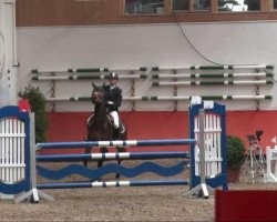 jumper Elaxy (Hanoverian, 2001, from Espri)