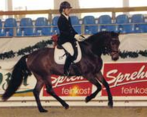 dressage horse Dorado W 2 (Mecklenburg, 2002, from D'Olympic)