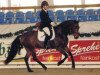 dressage horse Dorado W 2 (Mecklenburg, 2002, from D'Olympic)