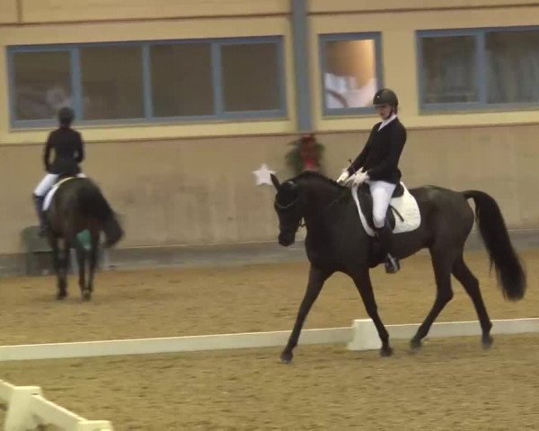 Reitturnier Kreuth/Opf. 2022