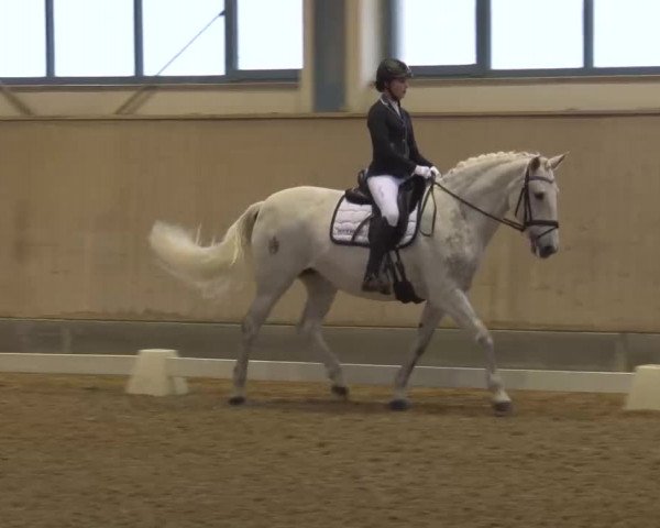 Reitturnier Kreuth/Opf. 2022