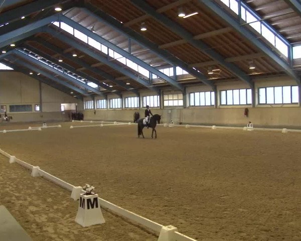 Reitturnier Kreuth/Opf. 2022