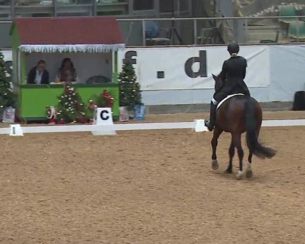 Reitturnier Kreuth/Opf. 2022