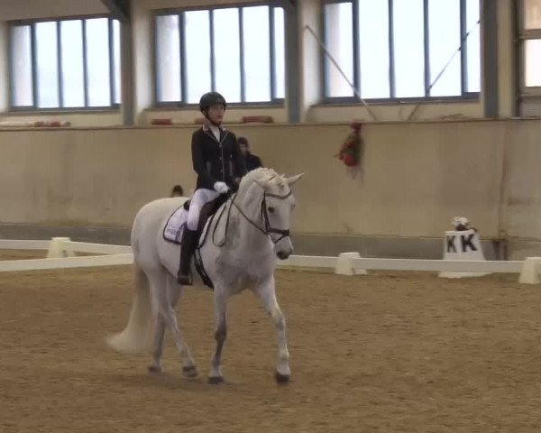 Reitturnier Kreuth/Opf. 2022