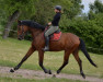 dressage horse Fidelio M (Oldenburg, 2016, from For Romance I)