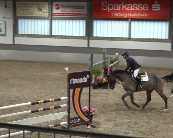 Reitturnier Luhmühlen 2022
