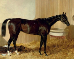 broodmare Inheritress xx (Thoroughbred, 1840, from The Saddler xx)