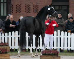 dressage horse Dono di natura (Westphalian, 2020, from Dancier Gold FRH)