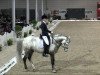 stallion Doubtless (German Riding Pony, 2001, from FS Don't Worry)