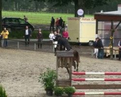 jumper Orchid's Pepijn (Nederlands Rijpaarden en Pony, 2005, from Kinka's Boy)