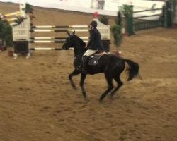 broodmare Easy 65 (Hanoverian, 2000, from Escudo I)