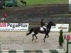 broodmare Passionata (German Riding Pony, 2003, from Ombri B)