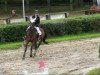 jumper Chiara 122 (Dutch Pony, 1995, from Davos)