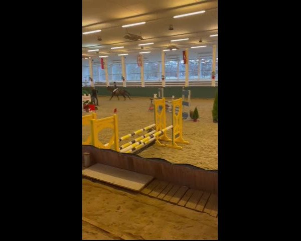 Video of Asti's Aurora