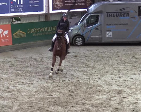 6. Nordic Jumping event Negernbötel 2022