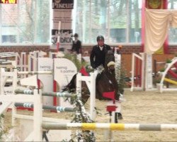 jumper Caroll 5 (German Sport Horse, 2003, from Cardenio)