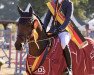 jumper Robby Lee LOH (German Riding Pony, 2017, from Rob Roy van Het Klavertje)