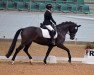 dressage horse Belissima Laviva (Hanoverian, 2017, from Le Vivaldi)