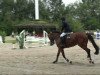 jumper Royal Flash 76 (Oldenburg, 1999, from Rubin Star N)