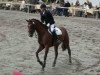 dressage horse Whyomy (Hanoverian, 2003, from Westernhagen)