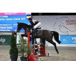 jumper Costbar 5 (Holsteiner, 2016, from Chin Champ)