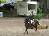 broodmare Nina (German Riding Pony, 2001, from Nagano)