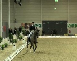 dressage horse Floris (Hanoverian, 2002, from Fürstenreich)