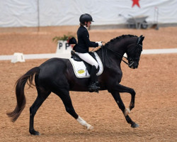 broodmare Olympia 130 (Oldenburg, 2014, from Sezuan)