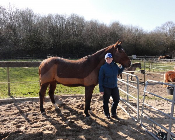 Pferd Mr. Twister Smith (Paint Horse, 1998, von Smith N Wesson)