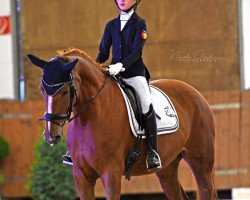 dressage horse Relais 2 (Hanoverian, 2011, from Rascalino)