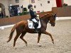 dressage horse Lucie Kt (Hanoverian, 2017, from Londontime)