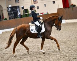 dressage horse Lucie Kt (Hanoverian, 2017, from Londontime)