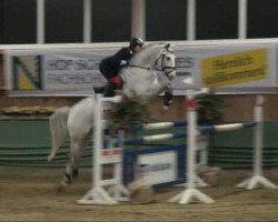 jumper Neuburg (Hanoverian, 2003, from Newcomer)