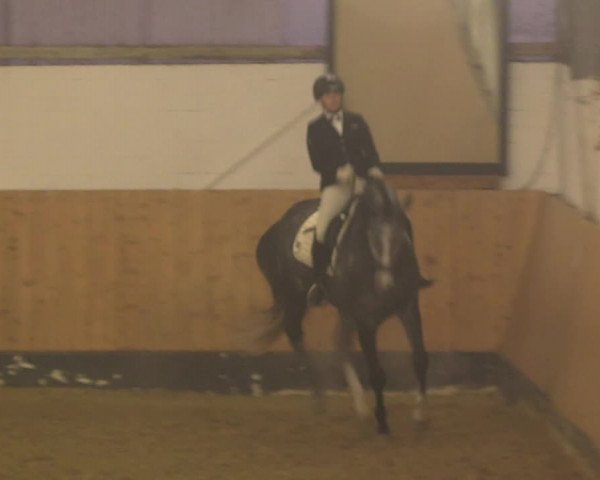 Reitturnier Datteln 2022