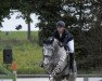 Springpferd Misty Van De Noordheuvel (Belgisches Warmblut, 2012, von C-Ingmar)