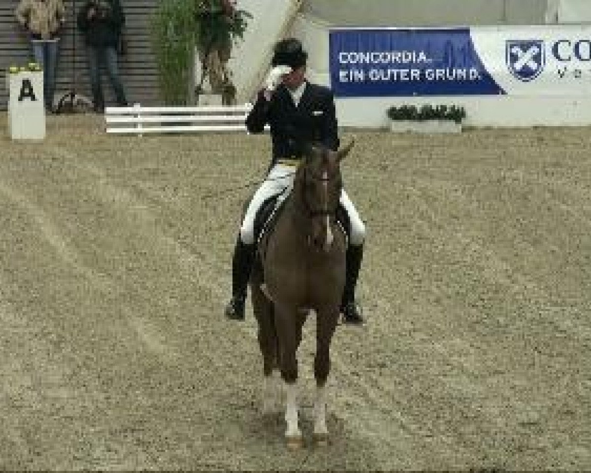 dressage horse Active Private Dancer (KWPN (Royal Dutch Sporthorse), 1997, from Jazz)