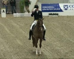 dressage horse Active Private Dancer (KWPN (Royal Dutch Sporthorse), 1997, from Jazz)