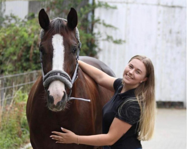 dressage horse Felias First Rose (Rhinelander, 2017)