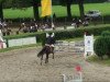 jumper PSW Puschkin Black Sun (German Riding Pony, 1997, from FS Pavarotti)