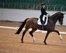 dressage horse Carbo 9 (Holsteiner, 2009, from Carentan)