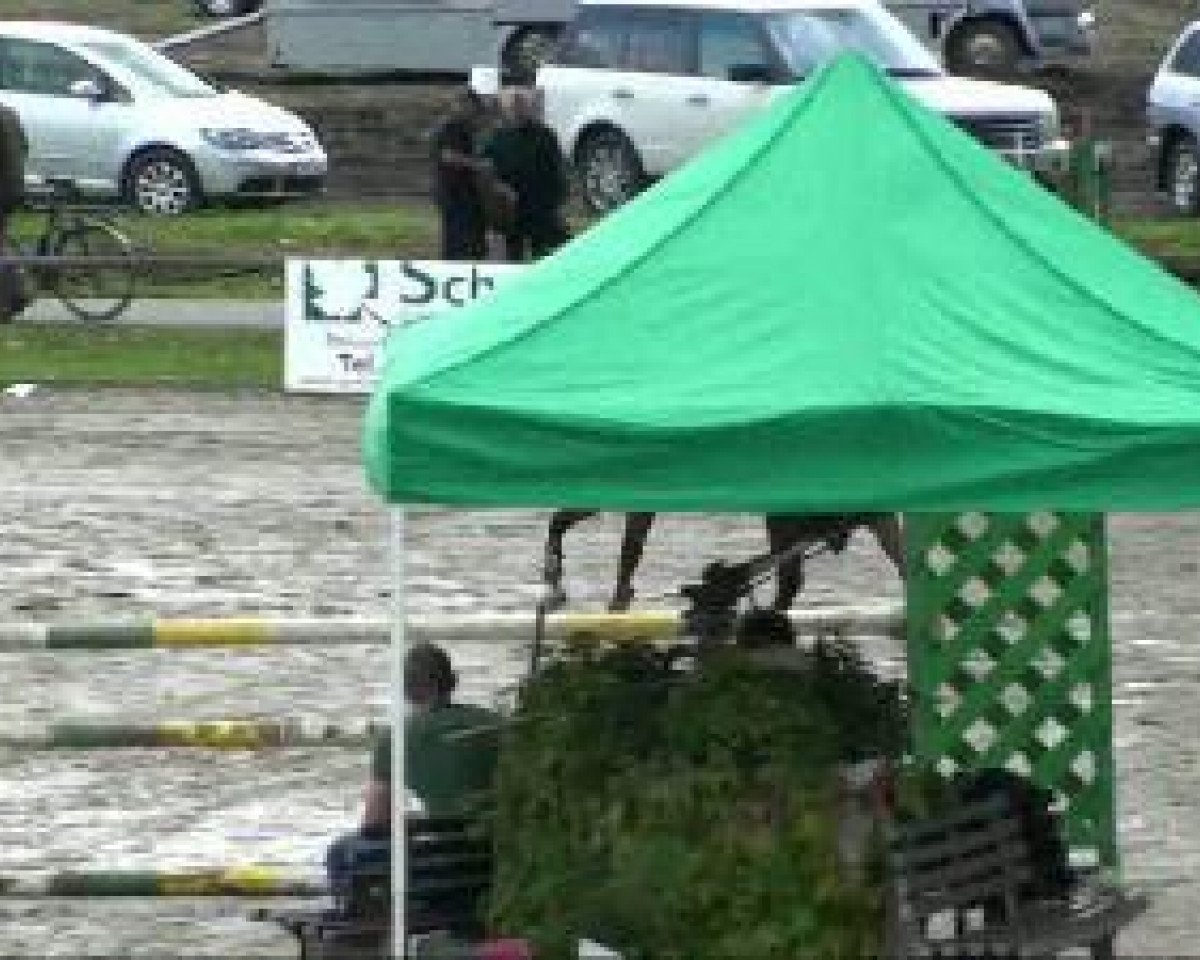 jumper Nexus 7 (German Riding Pony, 1998, from Notre Beau)