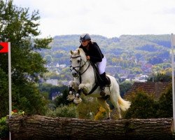 Pferd Revelino (Welsh Mountain Pony (Sek.A), 1998, von Rondo)