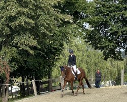 dressage horse Hi Holly (Trakehner, 2014, from Rubico xx)