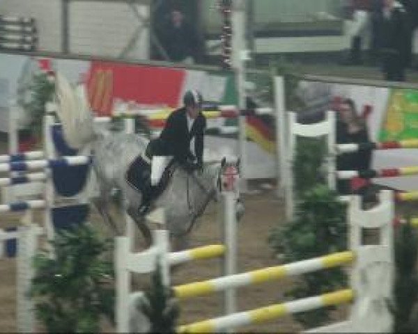 Springpferd Lady Lou 76 (Holsteiner, 2001, von Lorentin I)