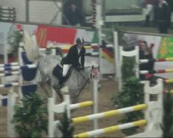 Springpferd Lady Lou 76 (Holsteiner, 2001, von Lorentin I)