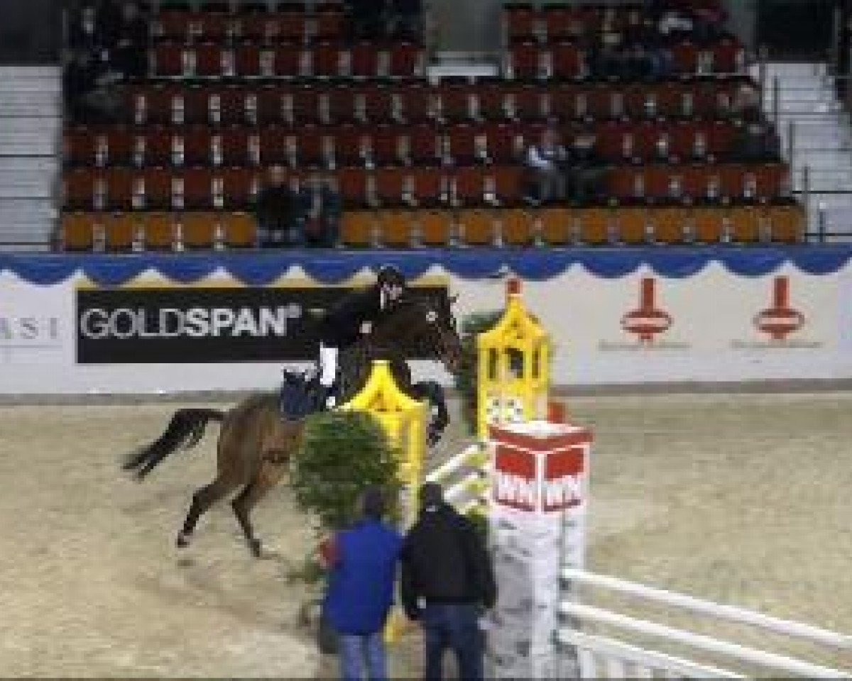 jumper Condor JN (Westphalian, 2006, from Continus Grannus)