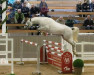 jumper Hengst von For Treasure VDL / Ahorn Z (Oldenburg show jumper, 2020, from For Treasure VDL)