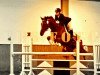 Springpferd Tabisko (Trakehner, 2002, von Abisko)