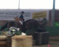 dressage horse Ravella (Rhinelander, 2002, from Raphael)